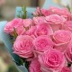 Букет 19 розовых роз