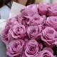 Букет 23 эквадорские розы