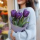 3 фиолетовых тюльпана