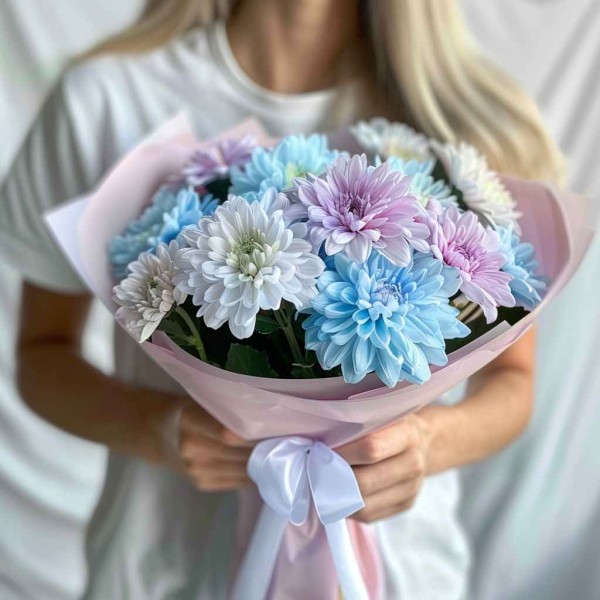 Хризантема микс 3 шт.