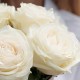 5 белых роз в маленькой коробке