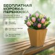 Букет 7 радужных роз с эвкалиптом