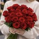 1 красная голландская роза