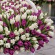 1001 бело-фиолетовый тюльпан в корзине