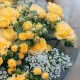 Букет 11 желтых кустовых роз