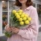 Тюльпан пионовидный Йеллоу Маргарита